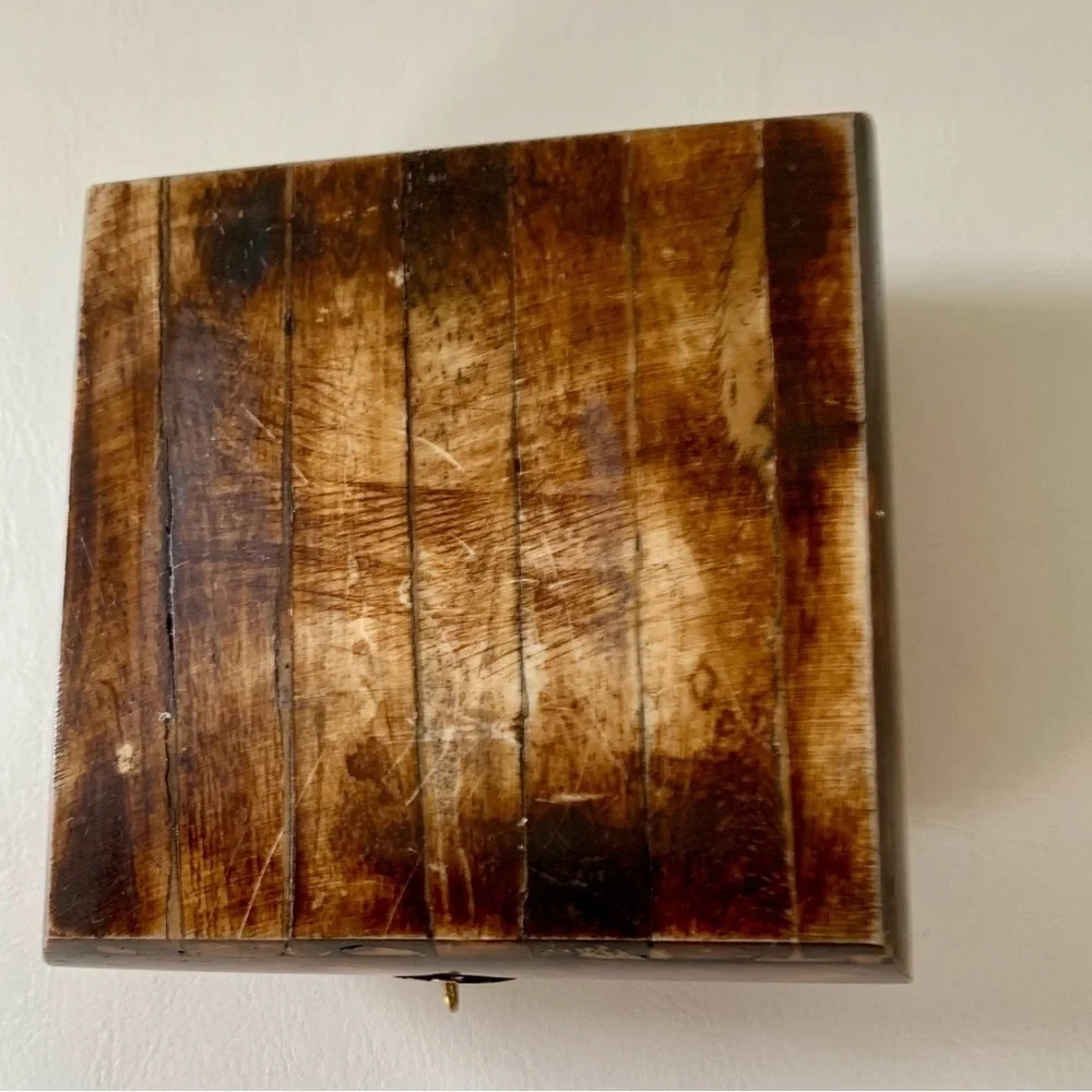 Vintage box made from bone and brass